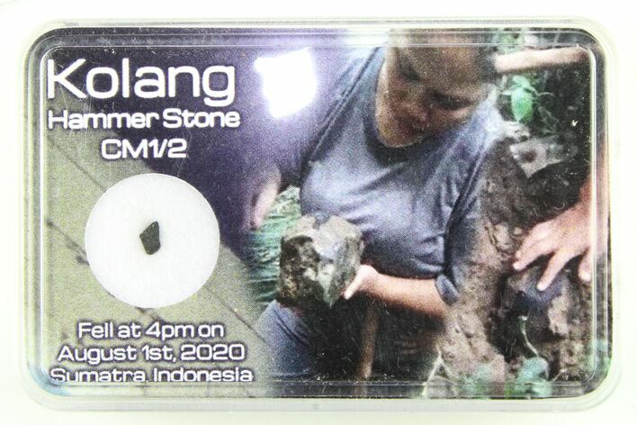 Carbonaceous Chondrite Hammer Stone - Kolang #285713